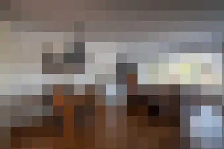Het Reef 4 Goor thumbnail 4