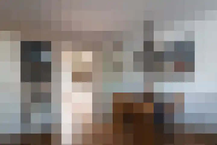 Het Reef 4 Goor thumbnail 5