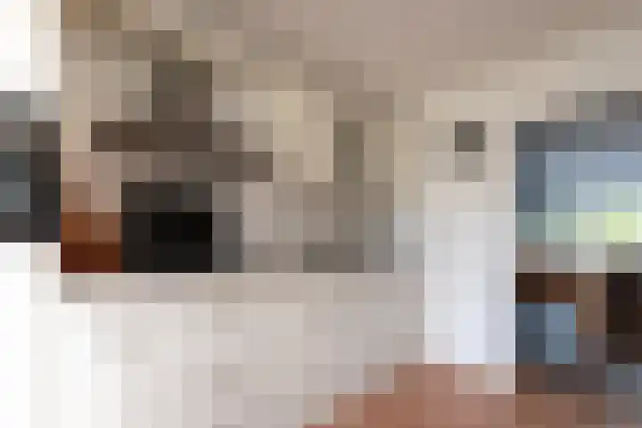 Het Reef 4 Goor thumbnail 7