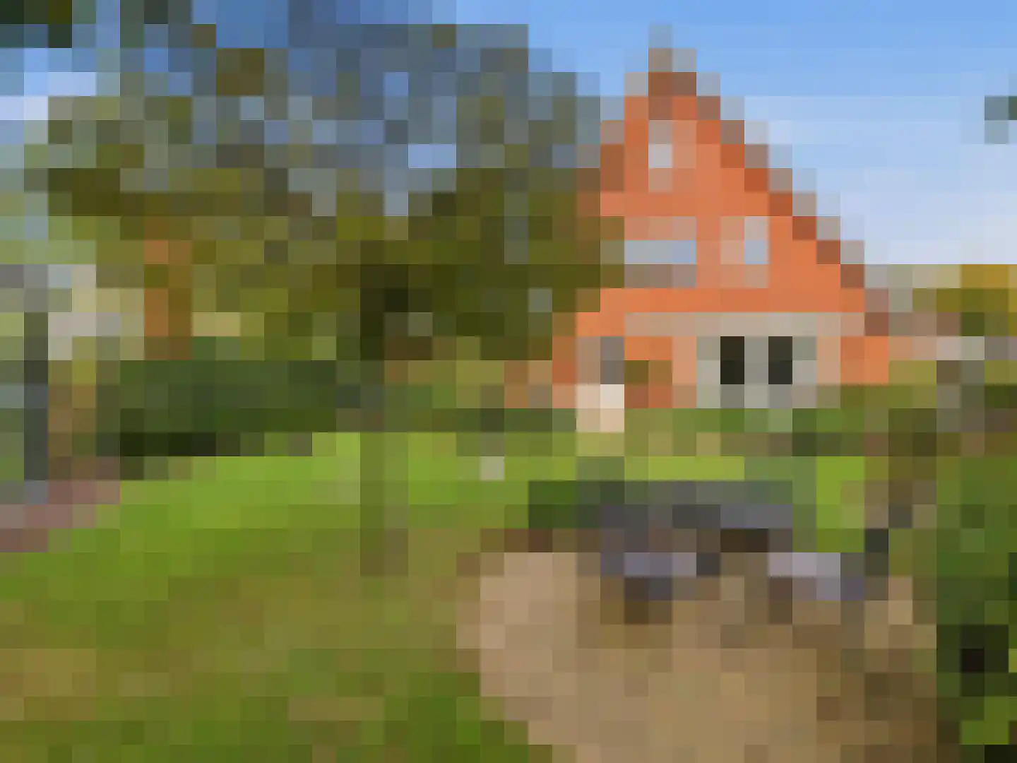 Het Regelink 1 Warnsveld thumbnail 32