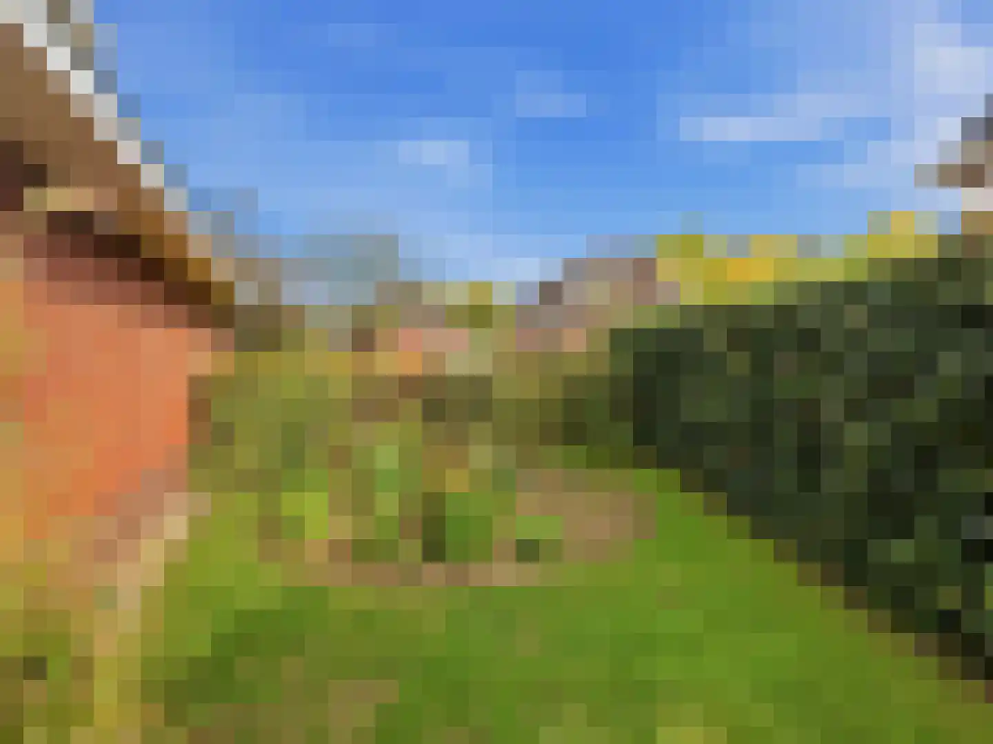 Het Regelink 1 Warnsveld thumbnail 35