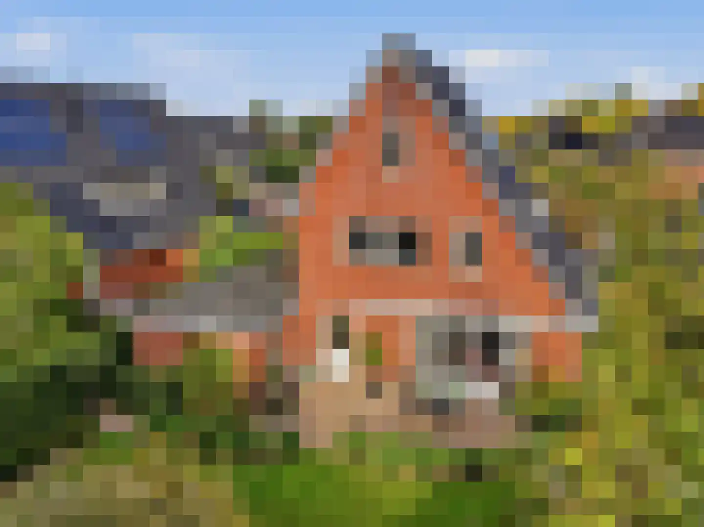 Het Regelink 1 Warnsveld thumbnail 38