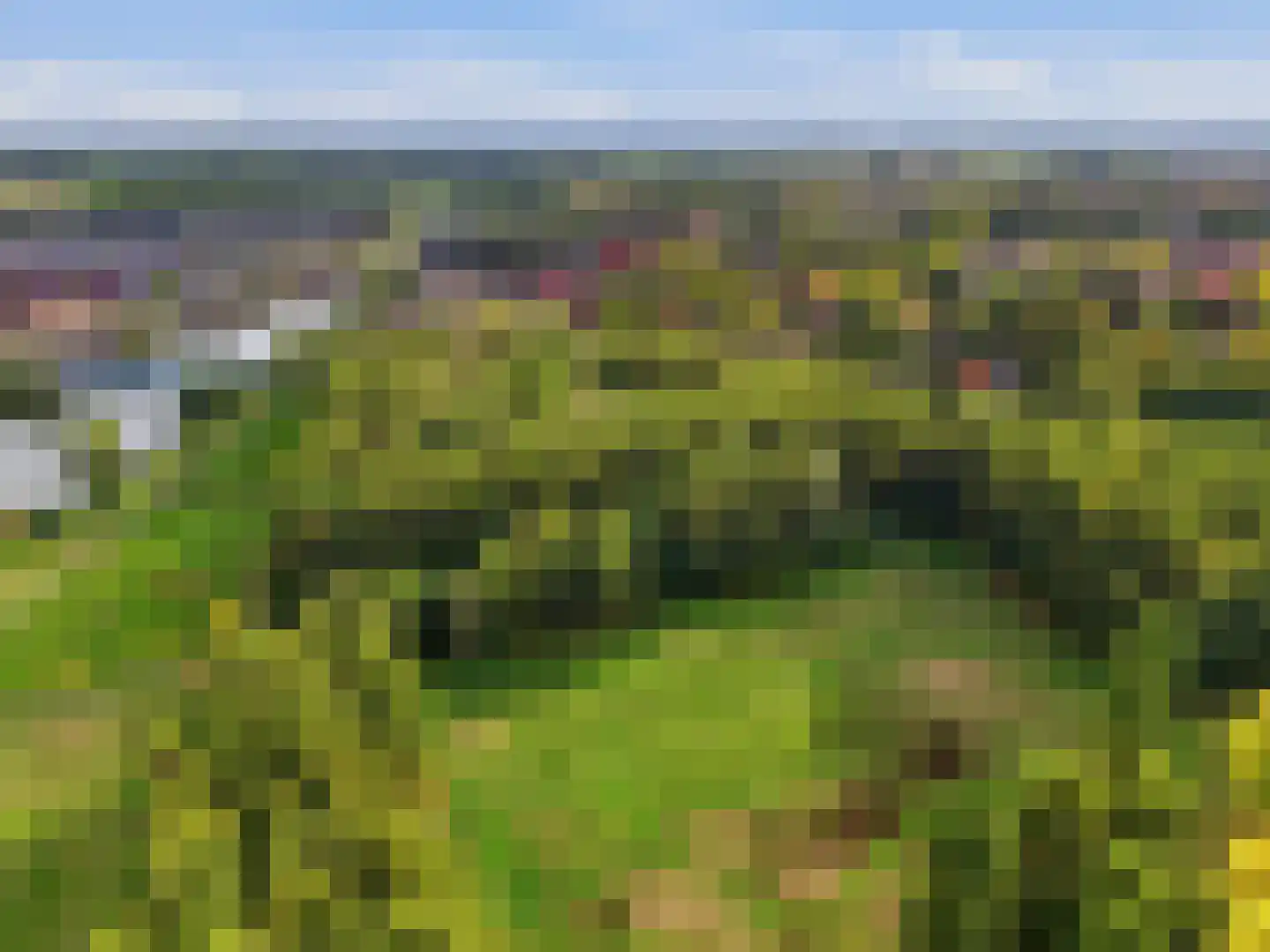 Het Regelink 1 Warnsveld thumbnail 45