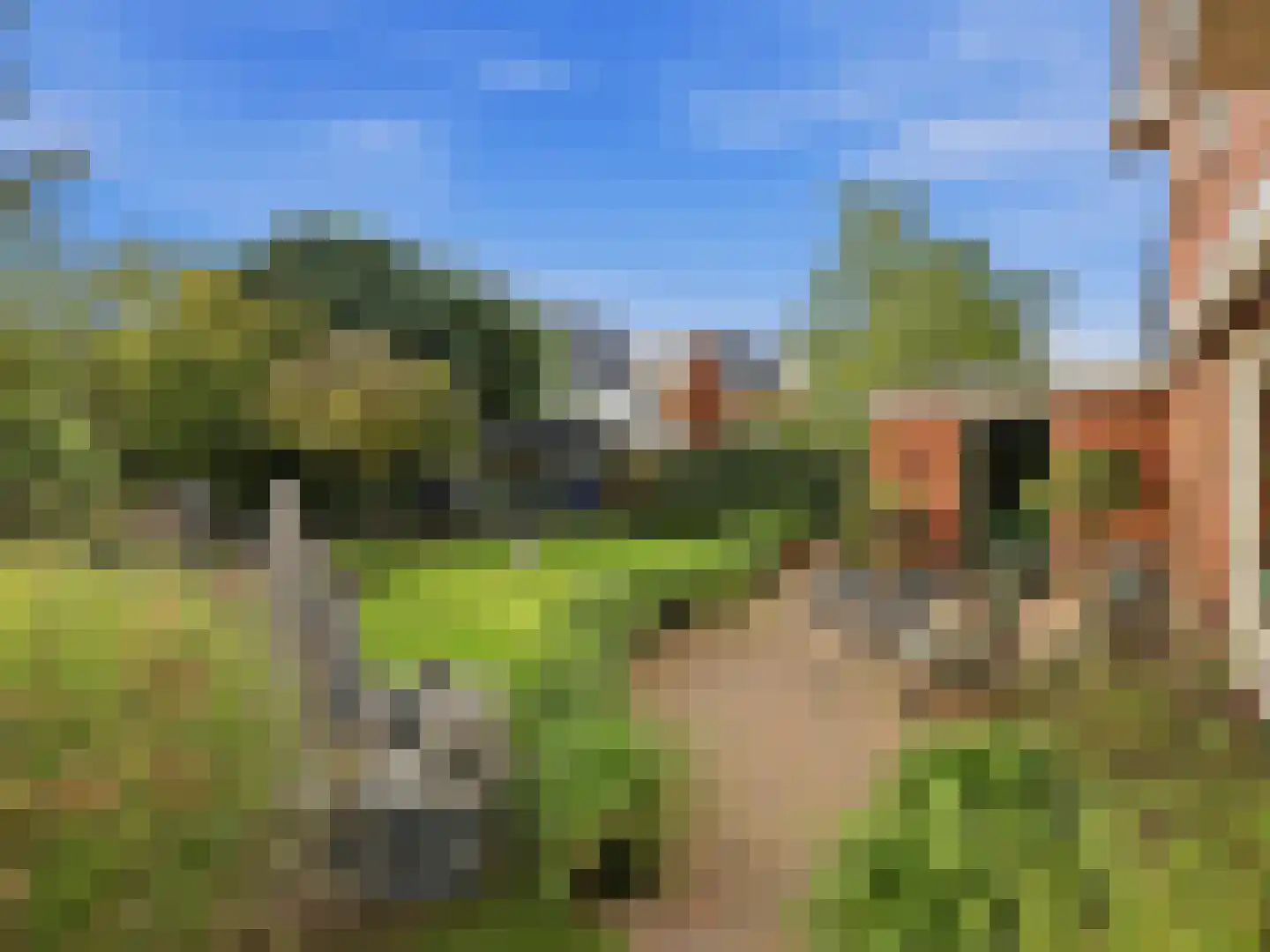 Het Regelink 1 Warnsveld thumbnail 5
