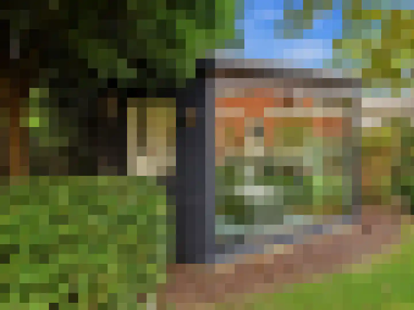 Het Regelink 1 Warnsveld thumbnail 6