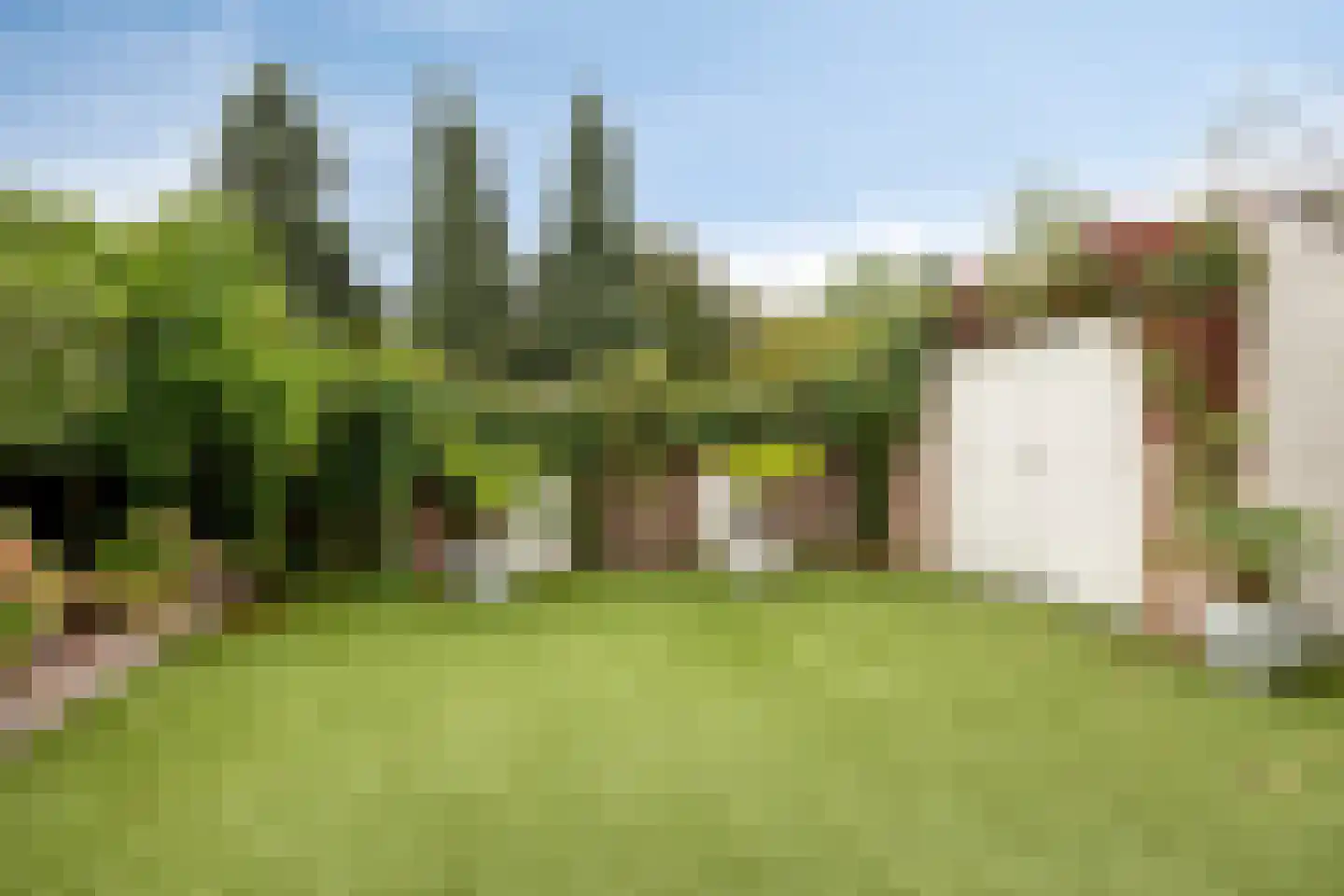 Het Reut 147 Berghem thumbnail 12
