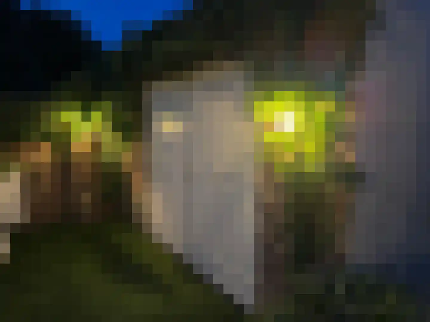 Het Reut 147 Berghem thumbnail 15