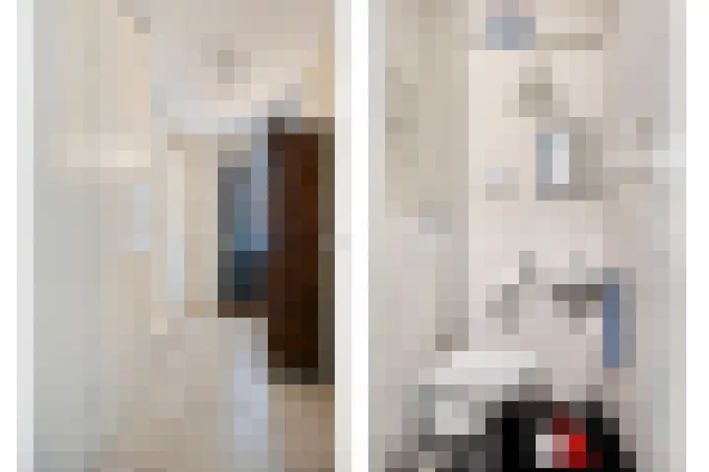 Het Reut 147 Berghem thumbnail 18