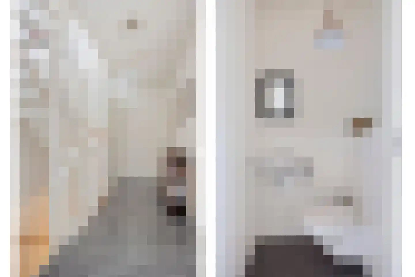 Het Reut 147 Berghem thumbnail 20