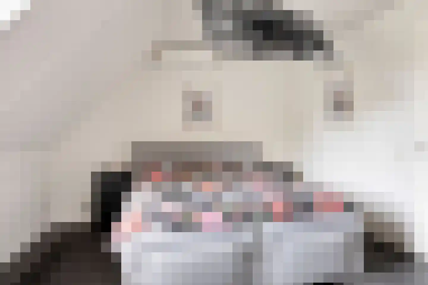 Het Reut 147 Berghem thumbnail 23