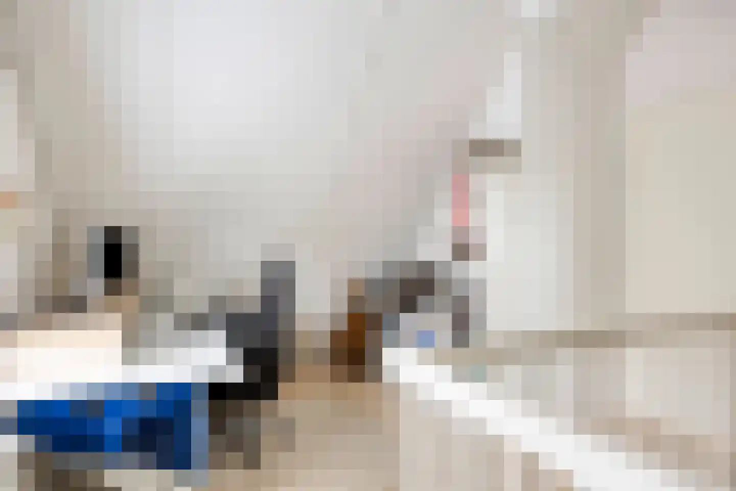 Het Reut 147 Berghem thumbnail 31