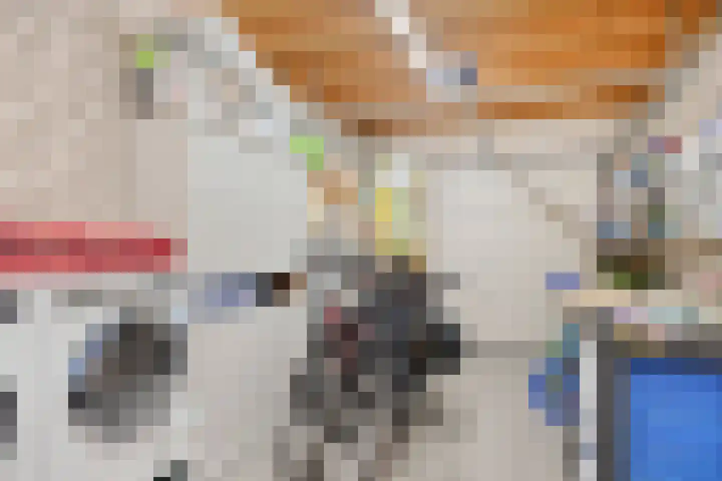 Het Reut 147 Berghem thumbnail 34