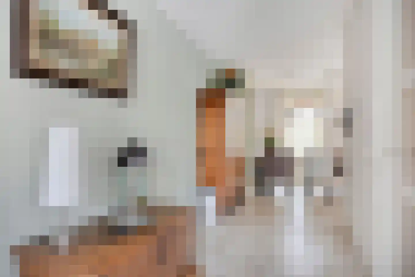 Het Reut 147 Berghem thumbnail 4