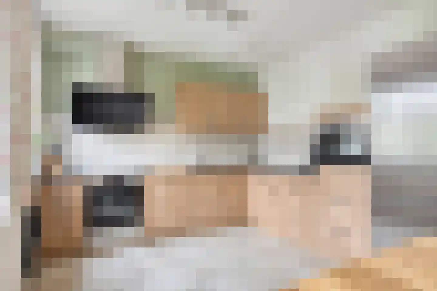 Het Reut 147 Berghem thumbnail 7