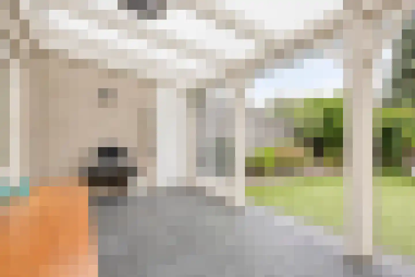 Het Reut 147 Berghem thumbnail 8