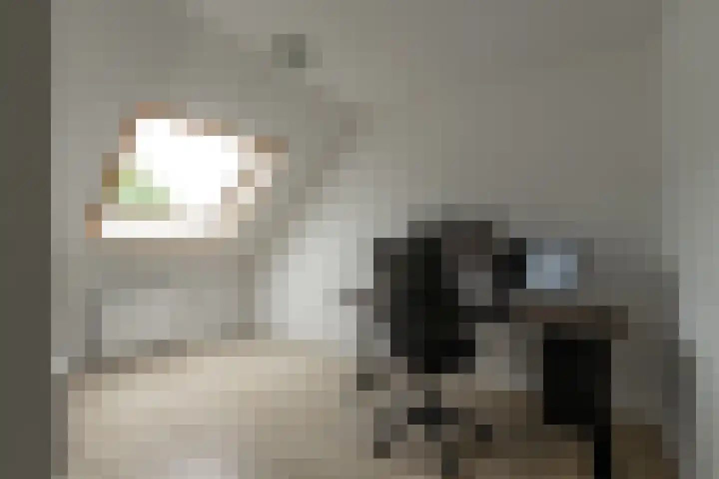 Het Reut 204 Berghem thumbnail 16