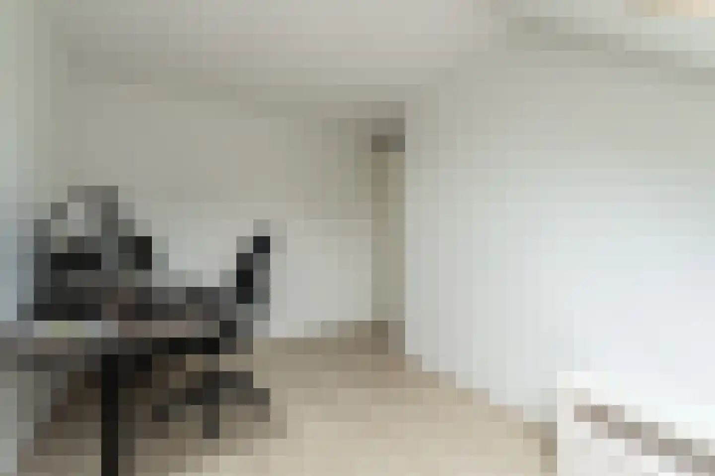 Het Reut 204 Berghem thumbnail 17