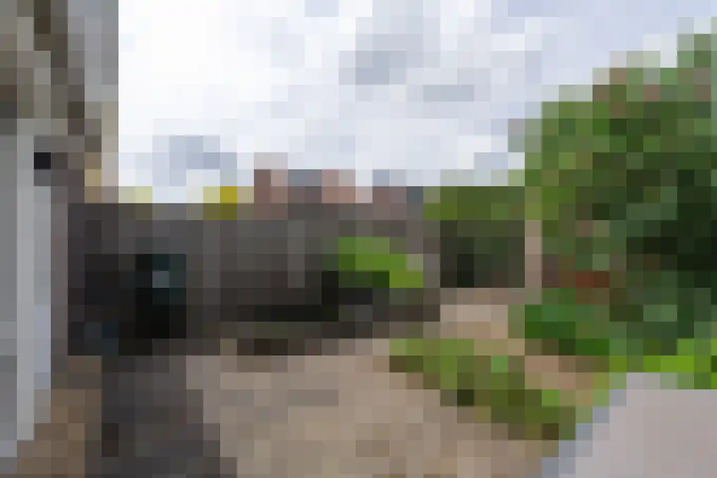 Het Reut 204 Berghem thumbnail 22