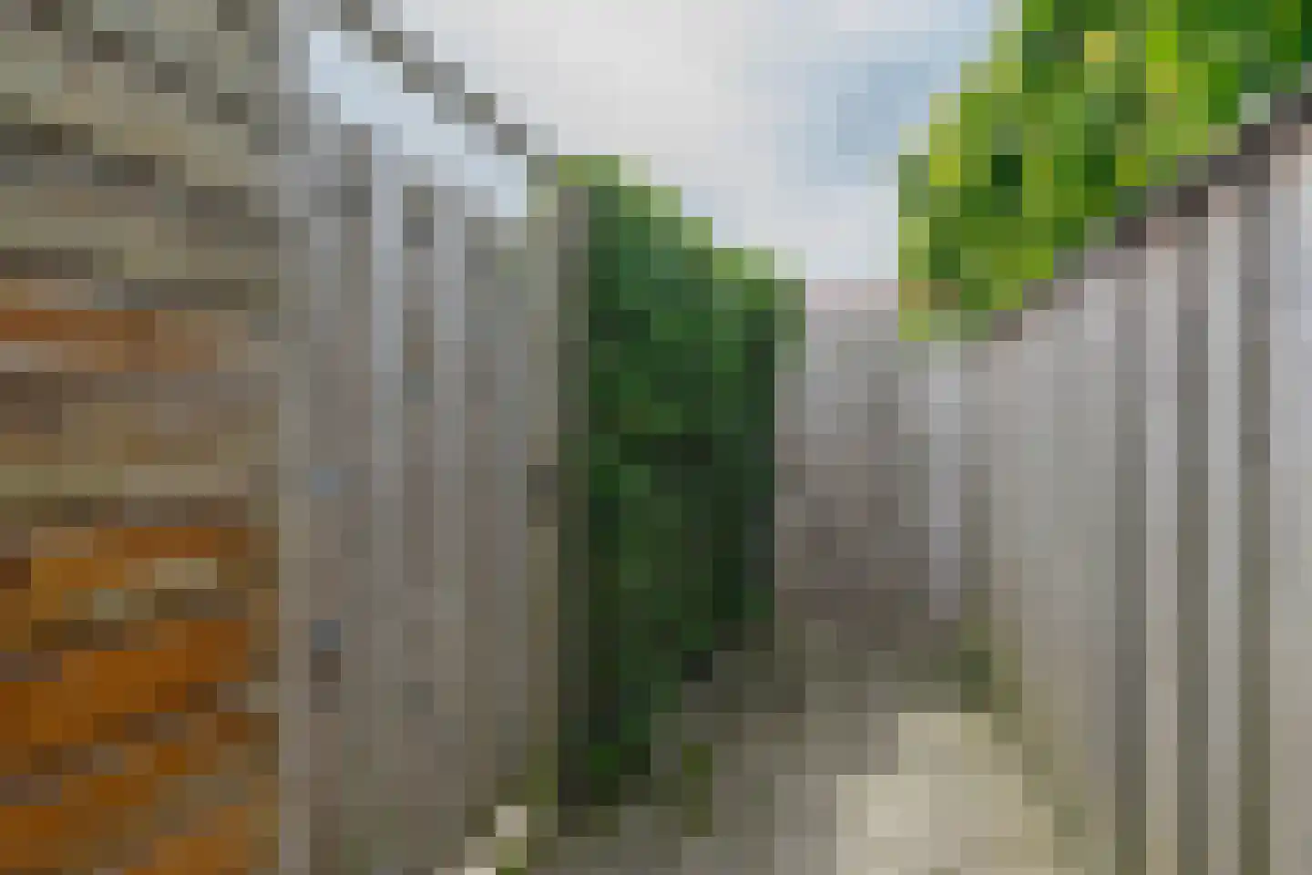 Het Reut 204 Berghem thumbnail 23