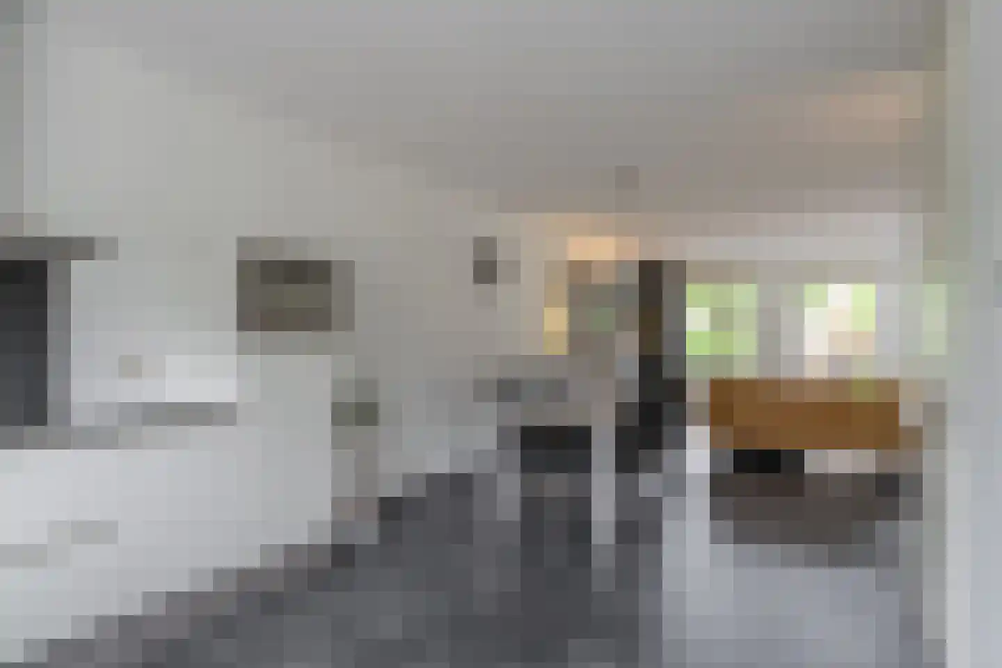 Het Reut 204 Berghem thumbnail 6