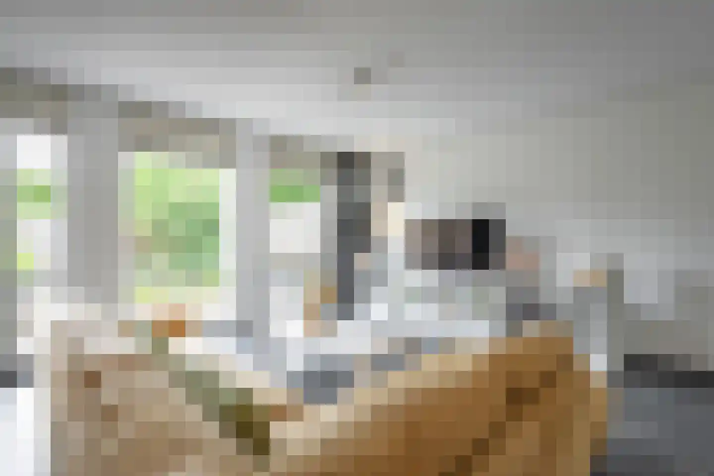 Het Reut 204 Berghem thumbnail 7