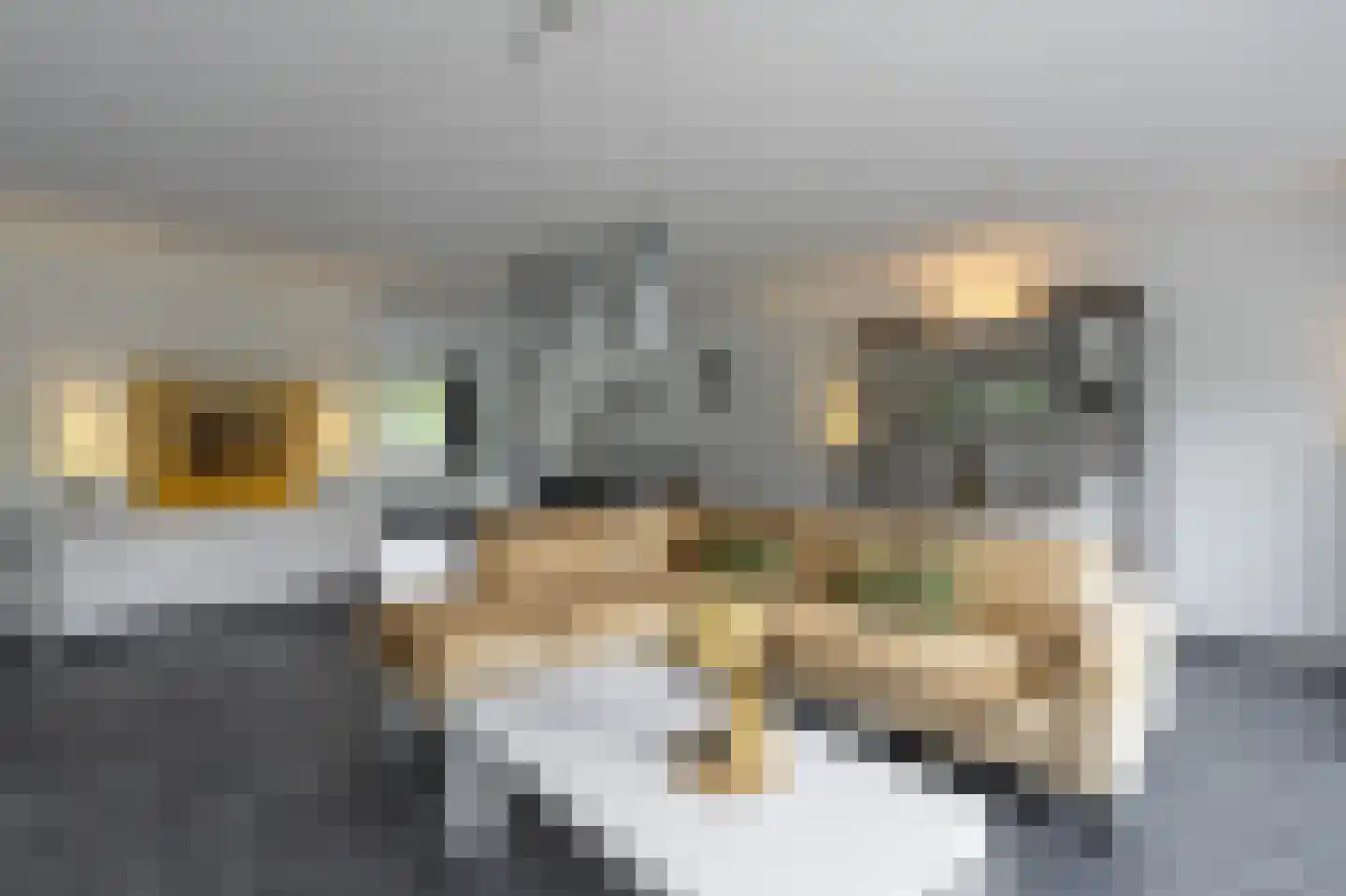 Het Reut 204 Berghem thumbnail 8