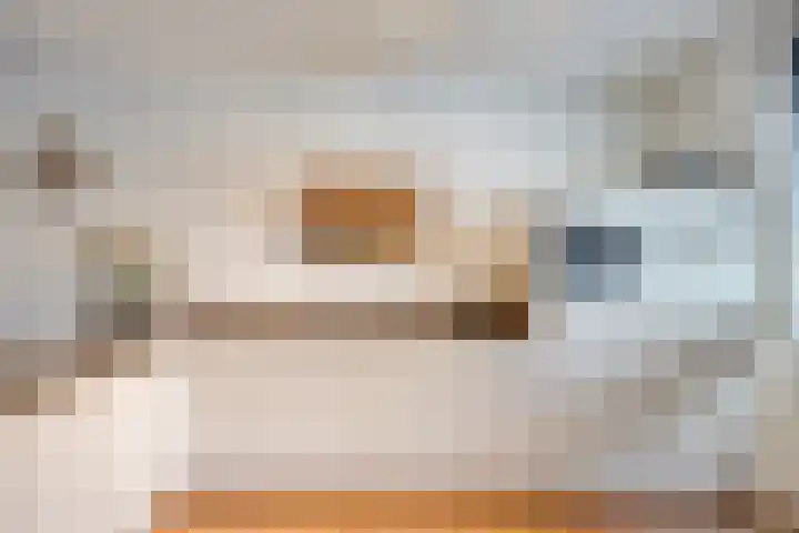 Het Reut 206 Berghem thumbnail 11
