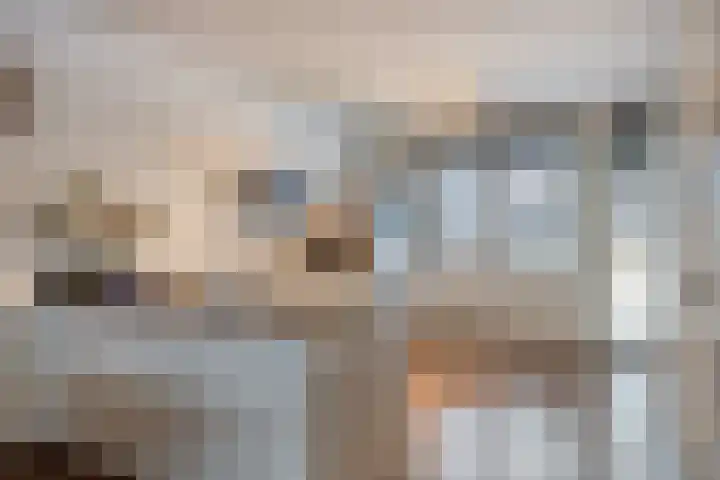 Het Reut 206 Berghem thumbnail 12