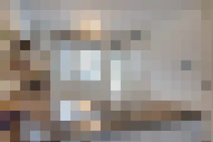 Het Reut 206 Berghem thumbnail 13