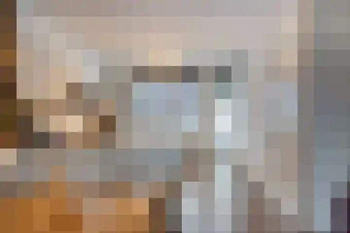 Het Reut 206 Berghem thumbnail 14