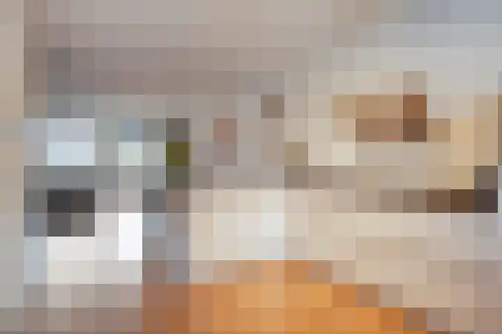 Het Reut 206 Berghem thumbnail 15