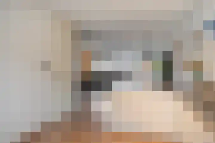 Het Reut 206 Berghem thumbnail 16