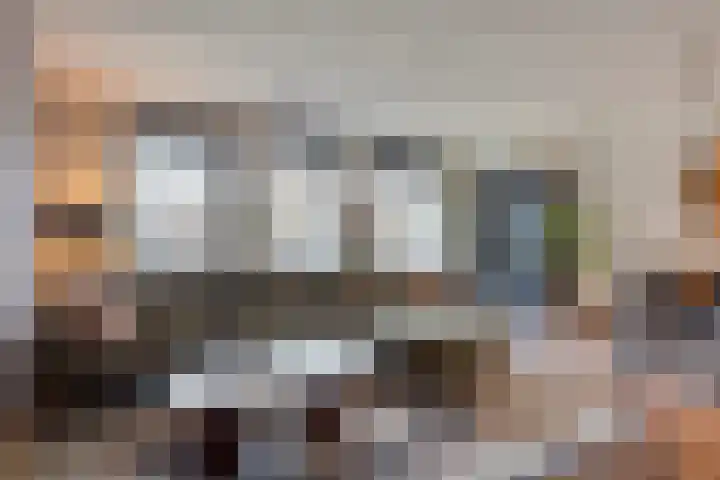 Het Reut 206 Berghem thumbnail 17