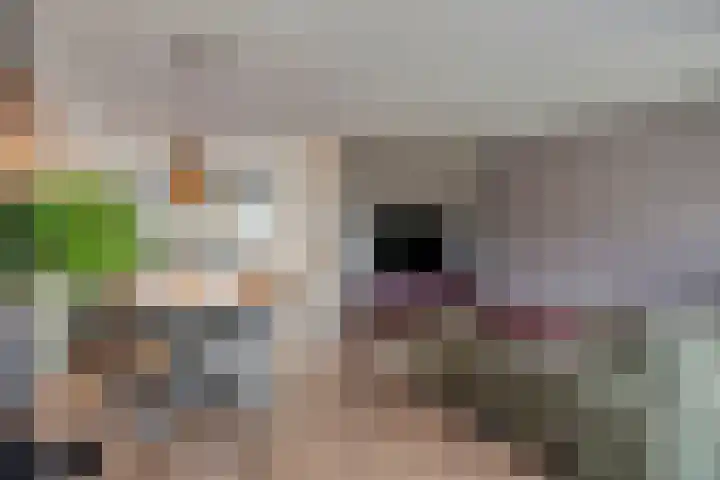 Het Reut 206 Berghem thumbnail 19