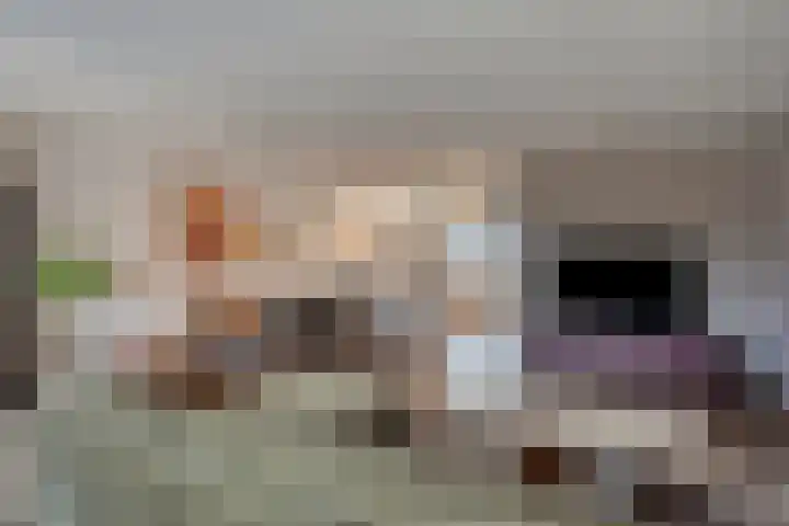 Het Reut 206 Berghem thumbnail 20