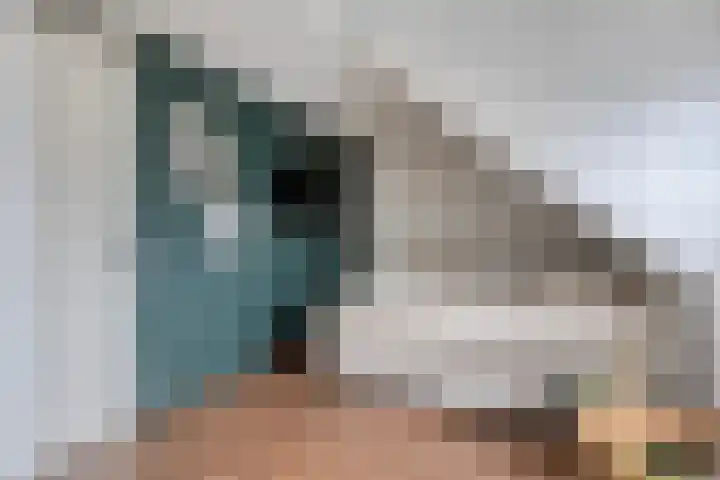 Het Reut 206 Berghem thumbnail 23