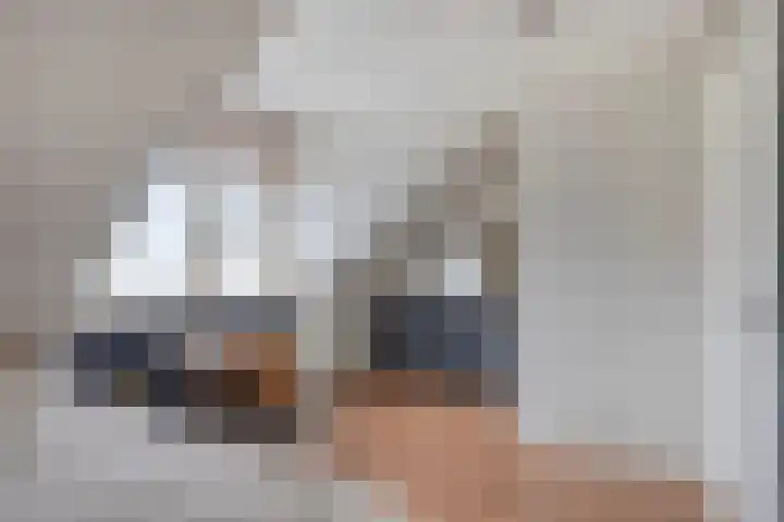Het Reut 206 Berghem thumbnail 24