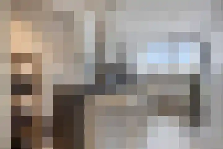Het Reut 206 Berghem thumbnail 29