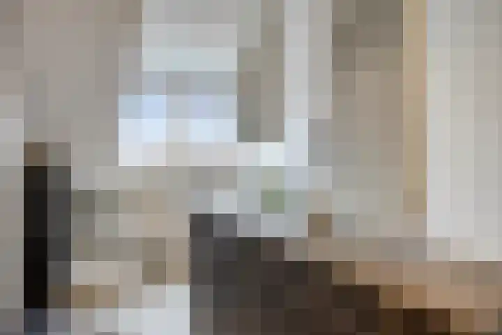 Het Reut 206 Berghem thumbnail 30
