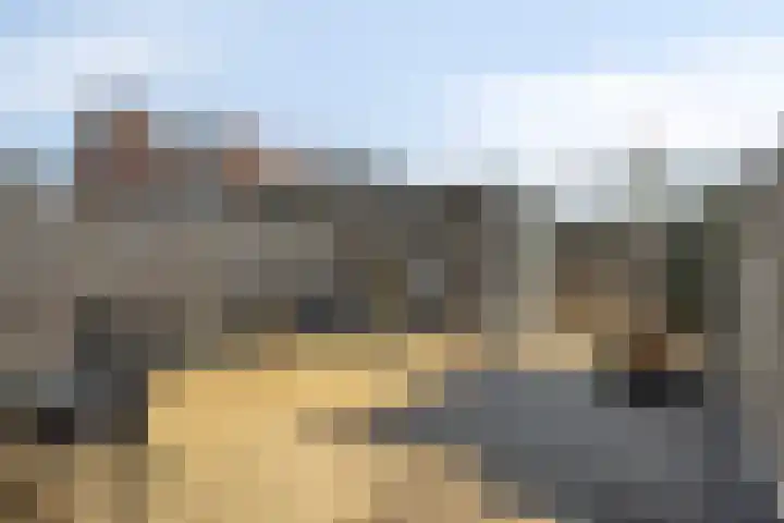 Het Reut 206 Berghem thumbnail 33