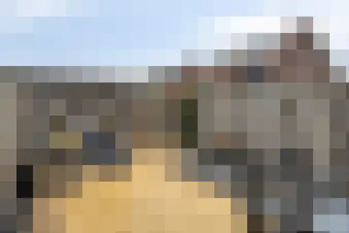 Het Reut 206 Berghem thumbnail 34