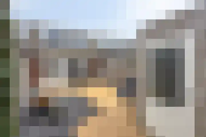Het Reut 206 Berghem thumbnail 36