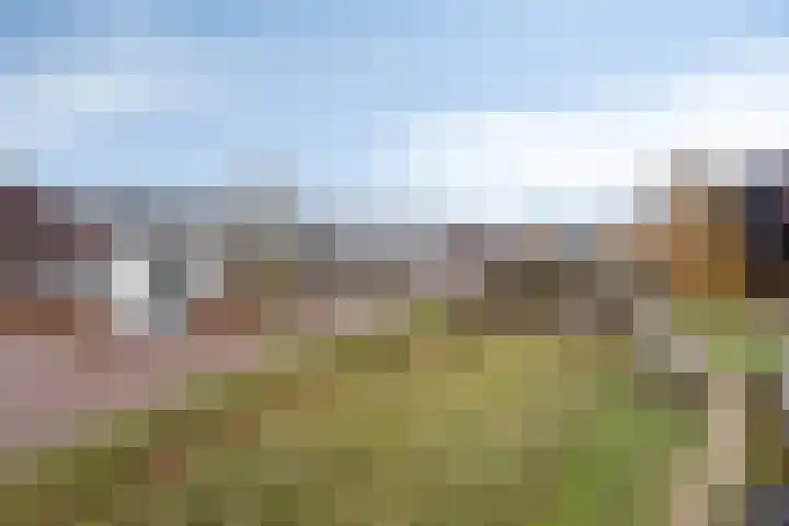 Het Reut 206 Berghem thumbnail 38