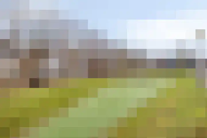 Het Reut 206 Berghem thumbnail 39