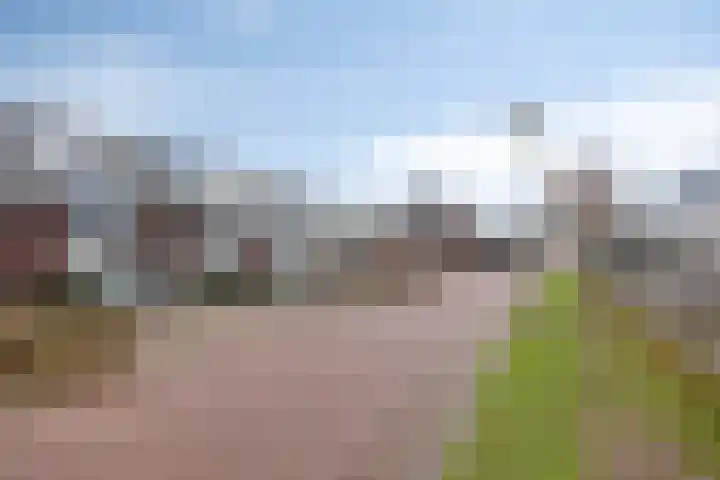 Het Reut 206 Berghem thumbnail 7