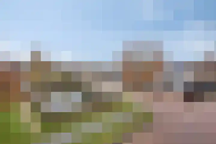 Het Reut 206 Berghem thumbnail 8