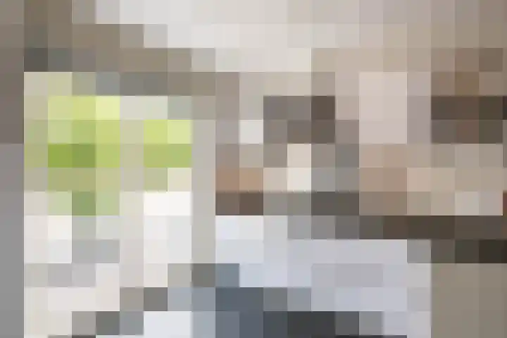 Het Reut 216 Berghem thumbnail 11