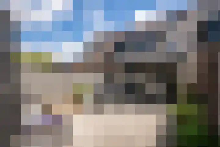 Het Reut 216 Berghem thumbnail 21