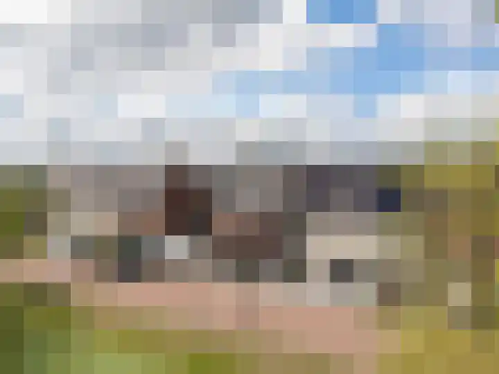 Het Reut 216 Berghem thumbnail 23