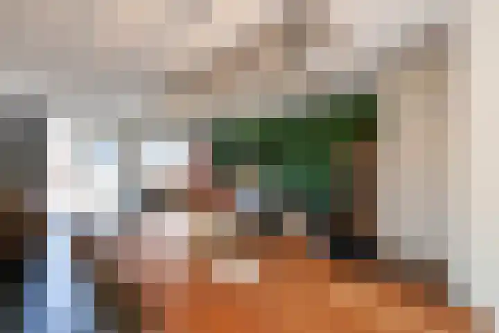 Het Reut 216 Berghem thumbnail 7